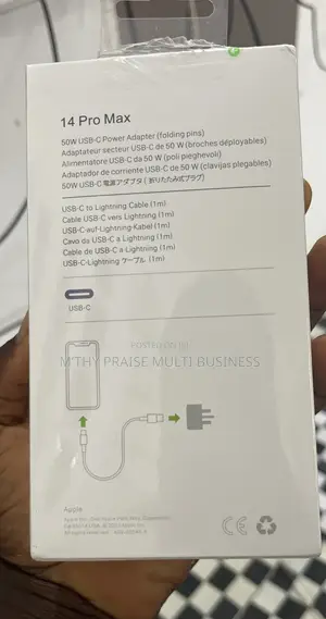 iPhone 3 Pins Charger