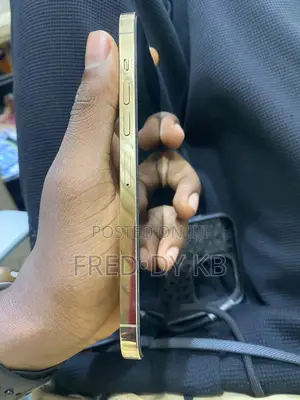 New Apple iPhone 13 Pro Max 128 GB Gold