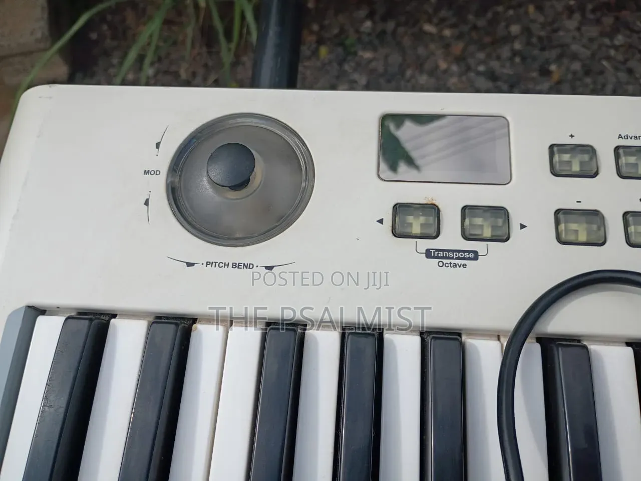 Neuron 5 Icon 49keys USB/Midi Midi Controller