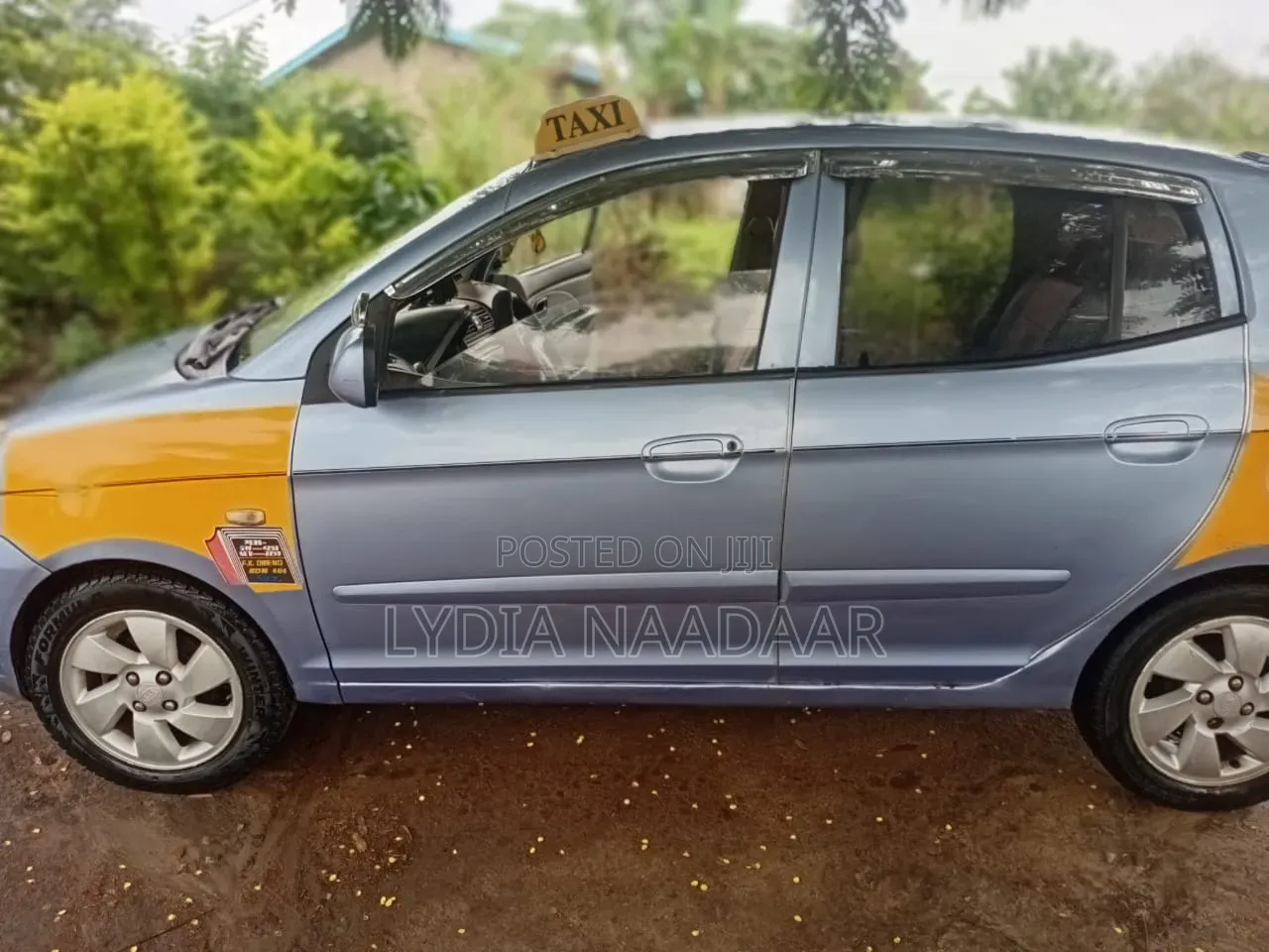Kia Picanto