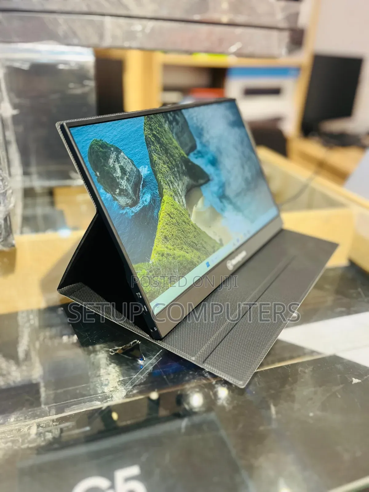 Portable Monitor