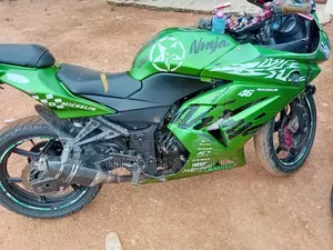 Kawasaki KX250 2012 Green