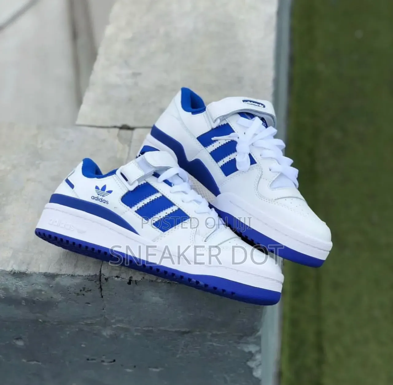 Adidas Forum Low White Royal Blue