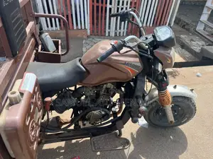Tricycle 2024 Brown