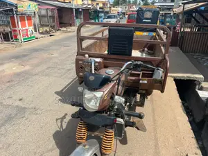 Tricycle 2024 Brown