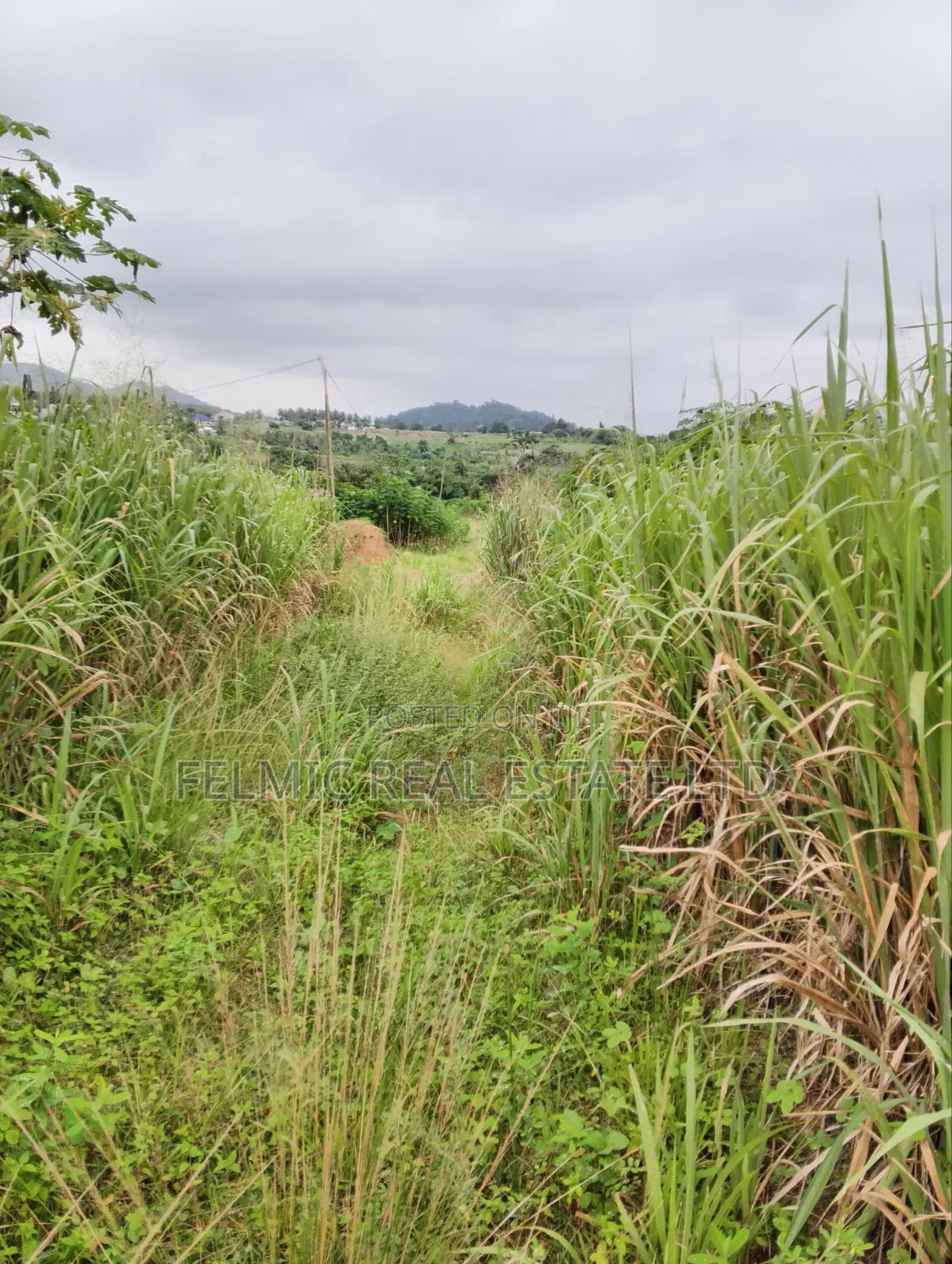 1 Plot of Land at Obom for Sale
