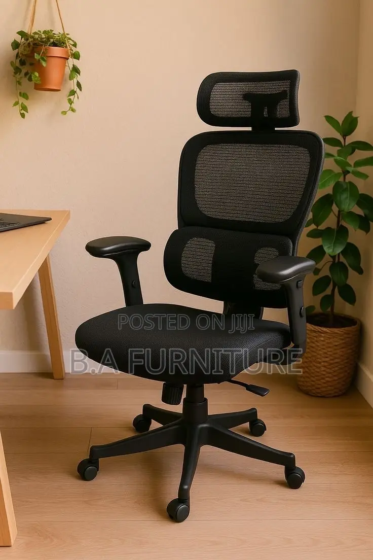 Ergonomic Chair