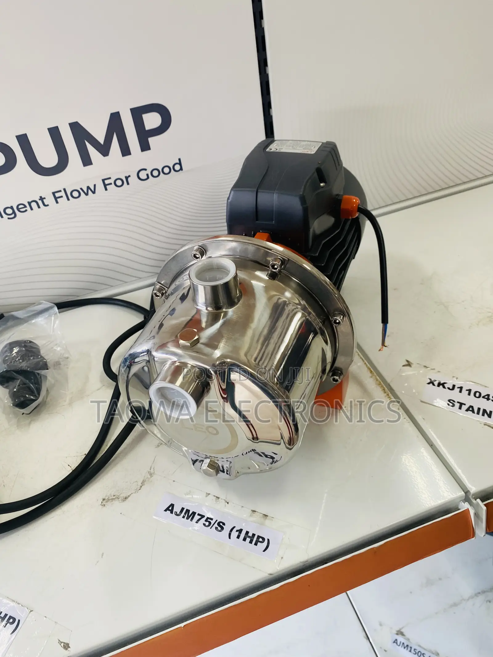 Shop Leo 1.0HP Ajm75s Stainless Pump