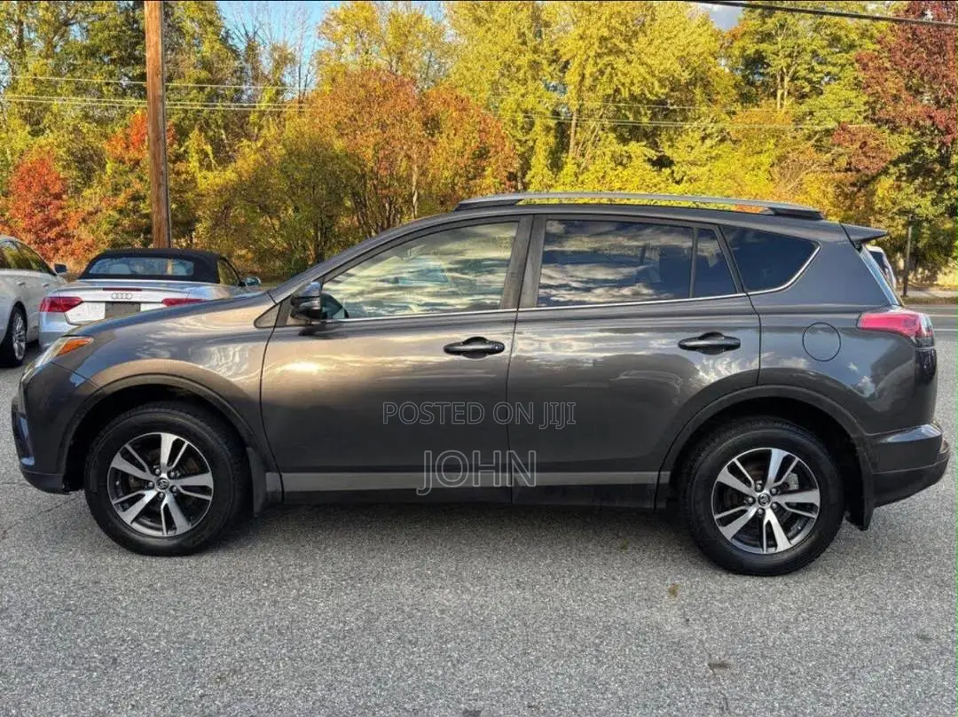 Toyota RAV4 XLE AWD (2.5L 4cyl 6A) 2017 Gray
