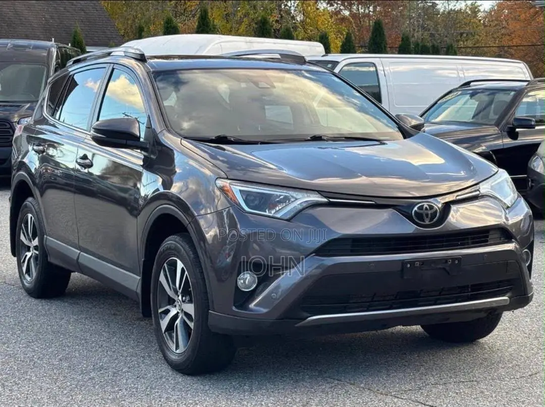 Toyota RAV4 XLE AWD (2.5L 4cyl 6A) 2017 Gray