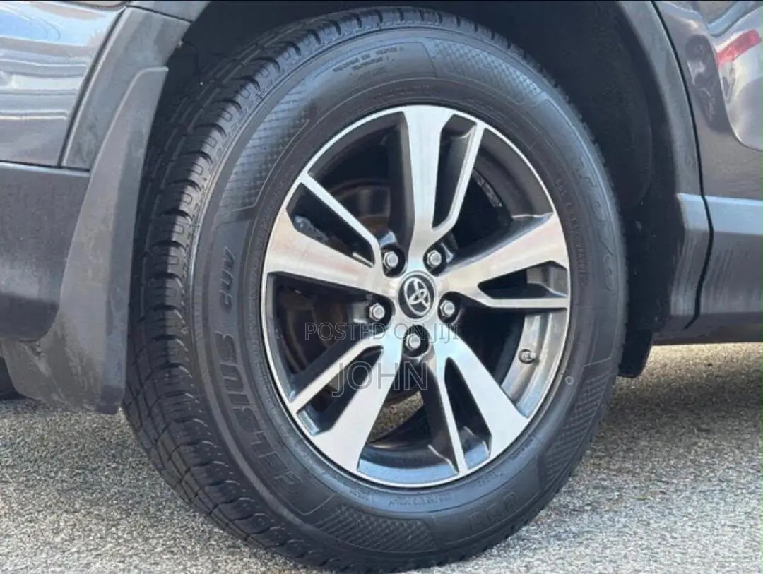 Toyota RAV4 XLE AWD (2.5L 4cyl 6A) 2017 Gray