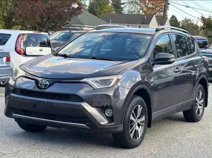 Toyota RAV4 XLE AWD (2.5L 4cyl 6A) 2017 Gray