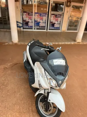 Suzuki 2010 White