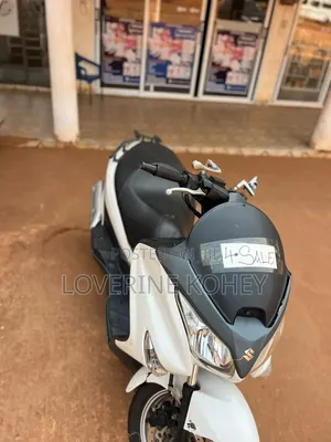 Suzuki 2010 White