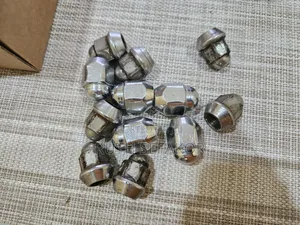 Wheels Nut