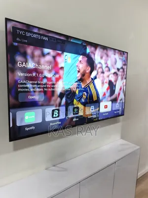 55 Inches Smart TV