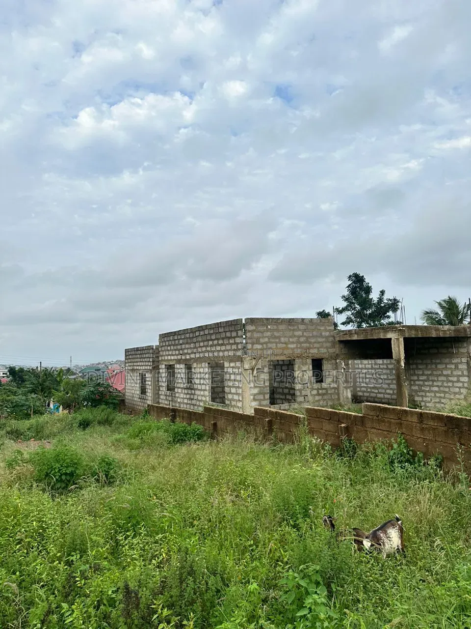 Titled Plot at Borteyman, Accra