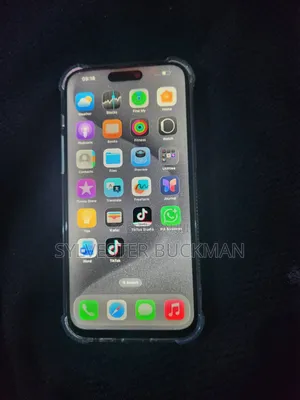 Apple iPhone 15 Pro Max 256 GB Gray