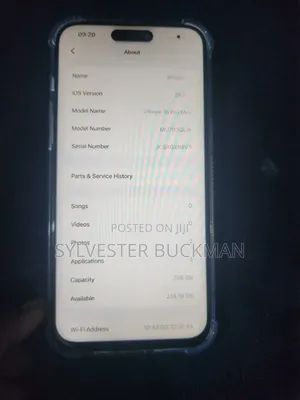 Apple iPhone 15 Pro Max 256 GB Gray