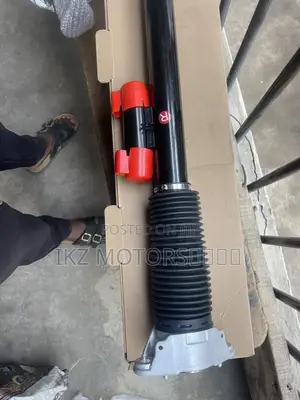 Range Rover 2024-2025 Back Shocks