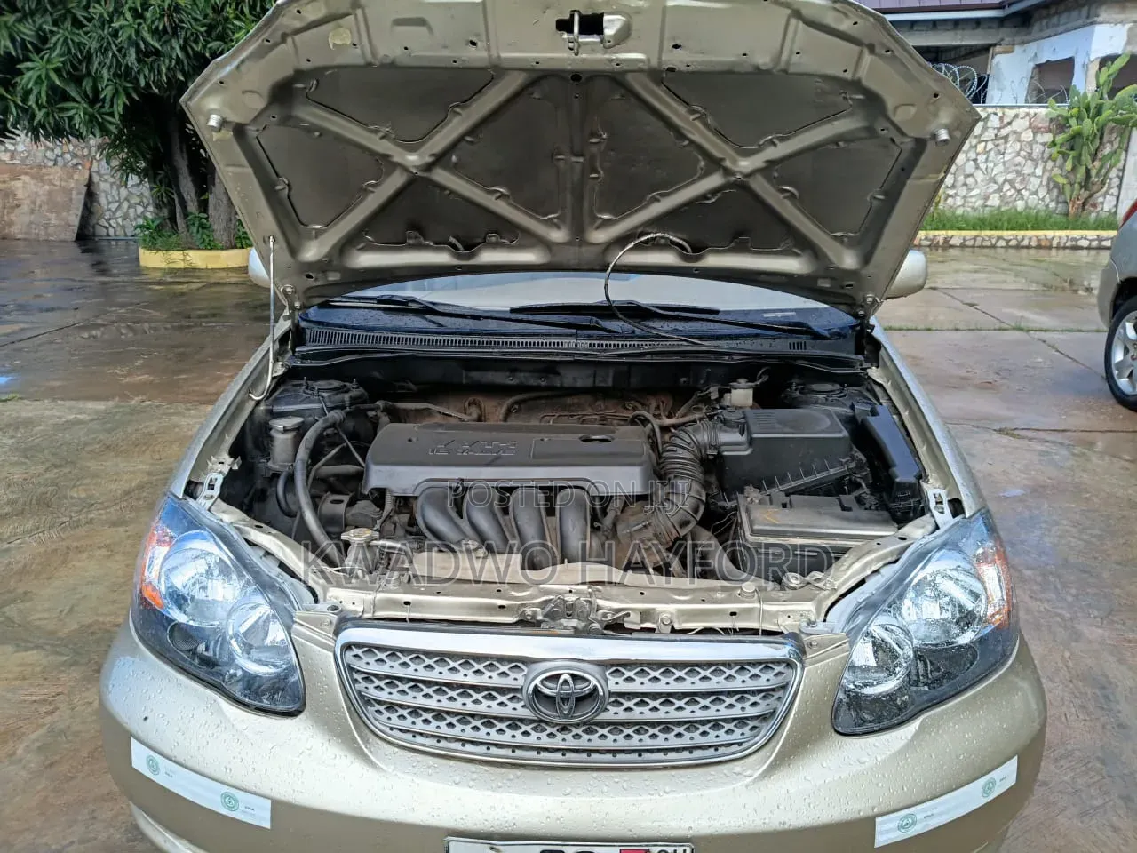 Toyota Corolla 2008 Ivory