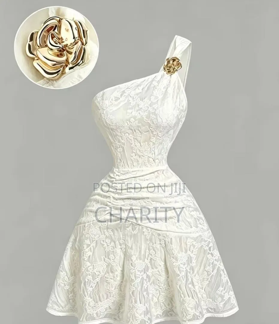Luxury but Affordable and Easy to Wear Dress