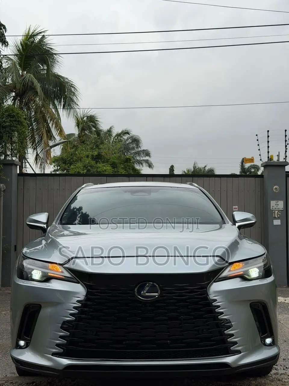 Lexus RX 350 Luxury AWD 2024 Green