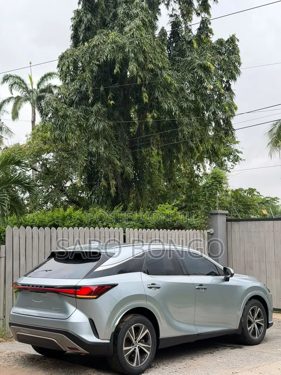 Lexus RX 350 Luxury AWD 2024 Green