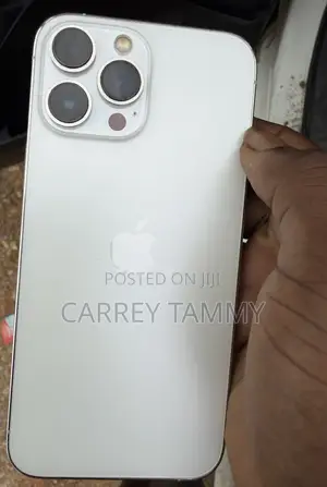 Apple iPhone 13 Pro Max 128 GB Silver