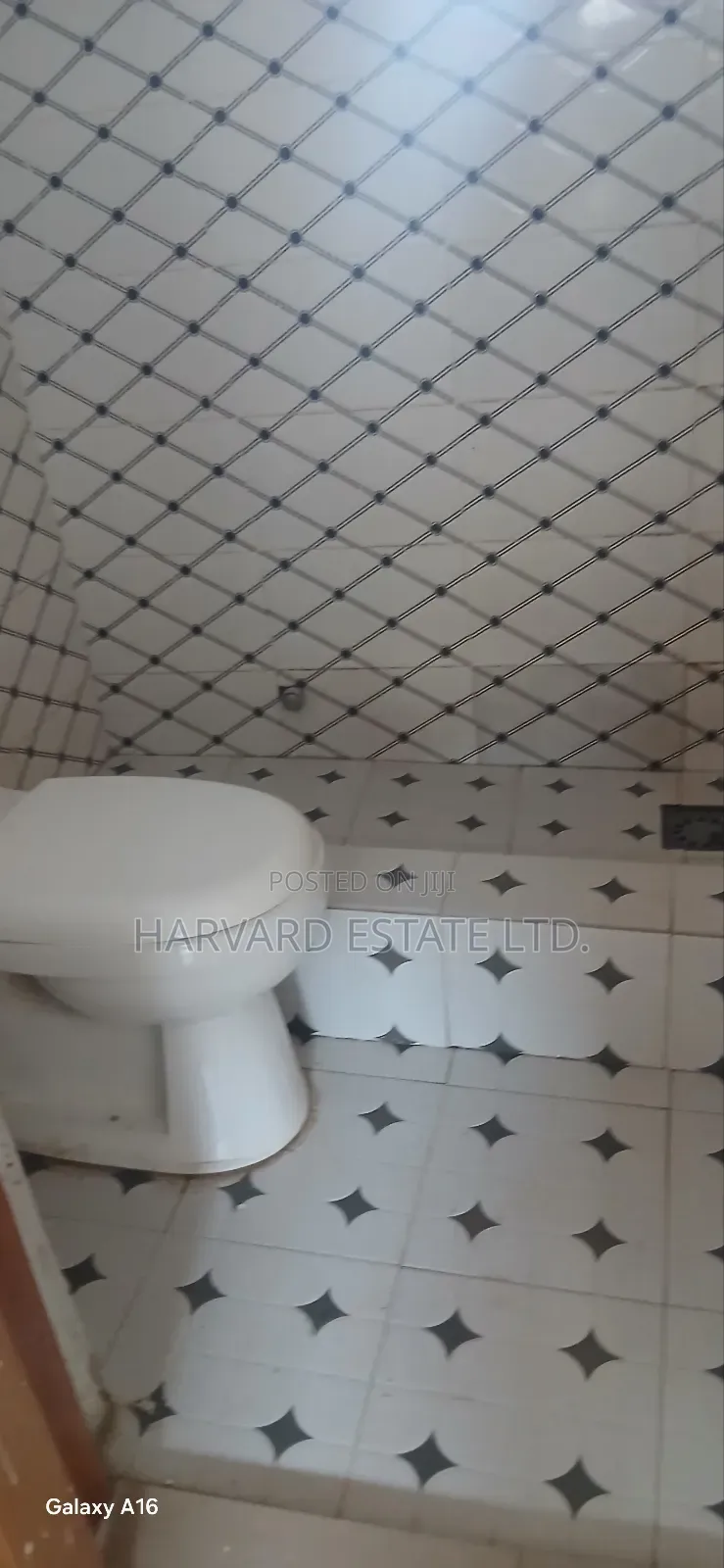 1bdrm Apartment in Tech Appiadu Knust, Kumasi Metropolitan for rent