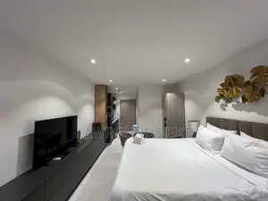 Furnished Studio Apartment for rent