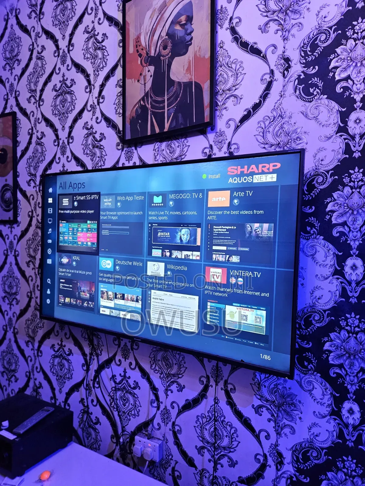 Sharp Smart TV Line on Screen