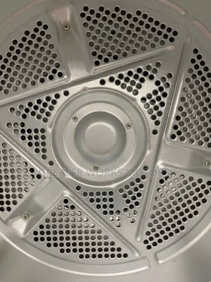 Commercial Dry Dryer (Laundry Type)