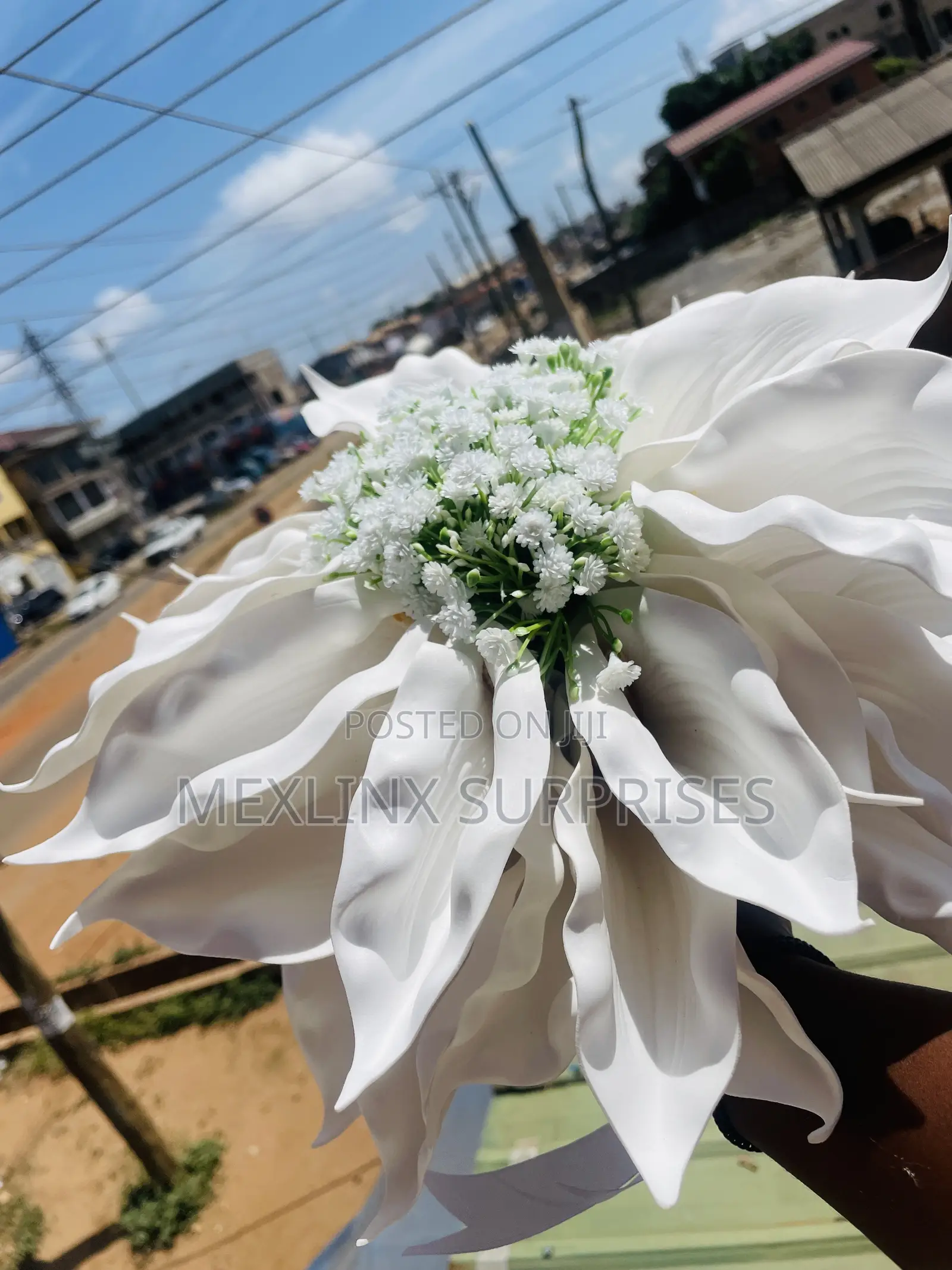 Mexlinx Events Decor Premium Home Cooking Services