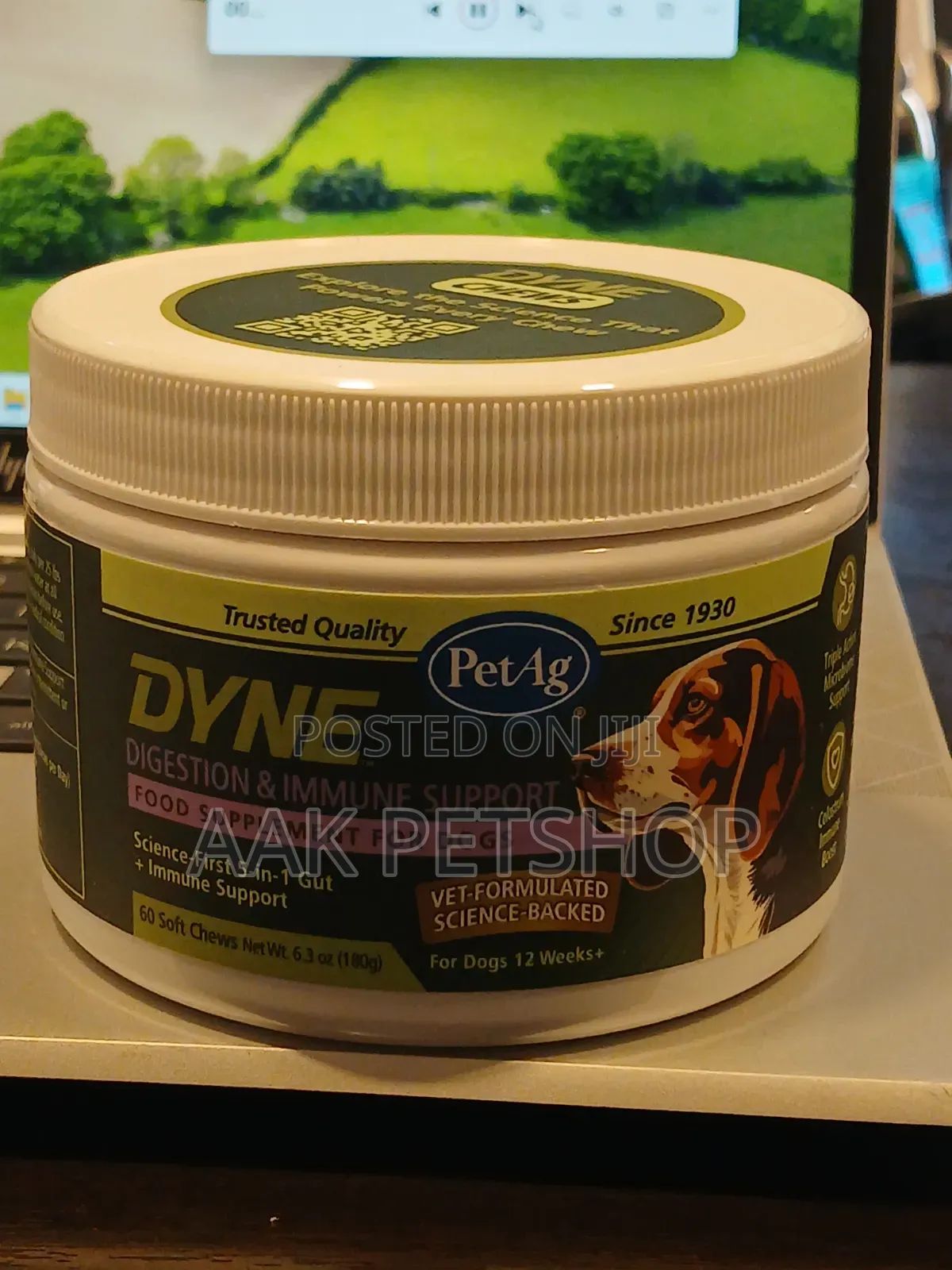 Dyne Disestion Immune Support