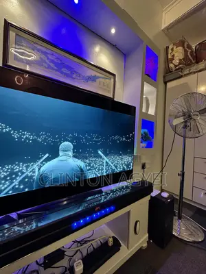 LG Oled 55 Inches Smart