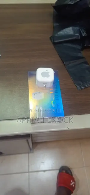 iPhone Charger