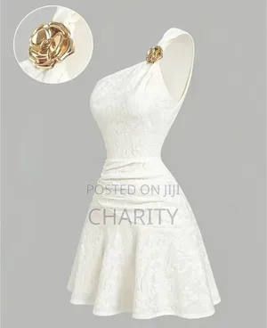 Luxury but Affordable and Easy to Wear Dress