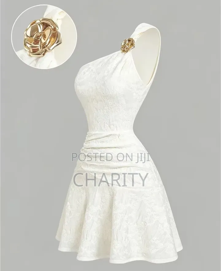 Luxury but Affordable and Easy to Wear Dress