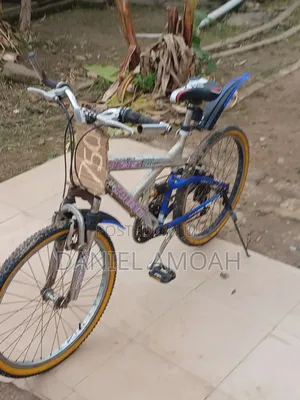Mountain Bicycle