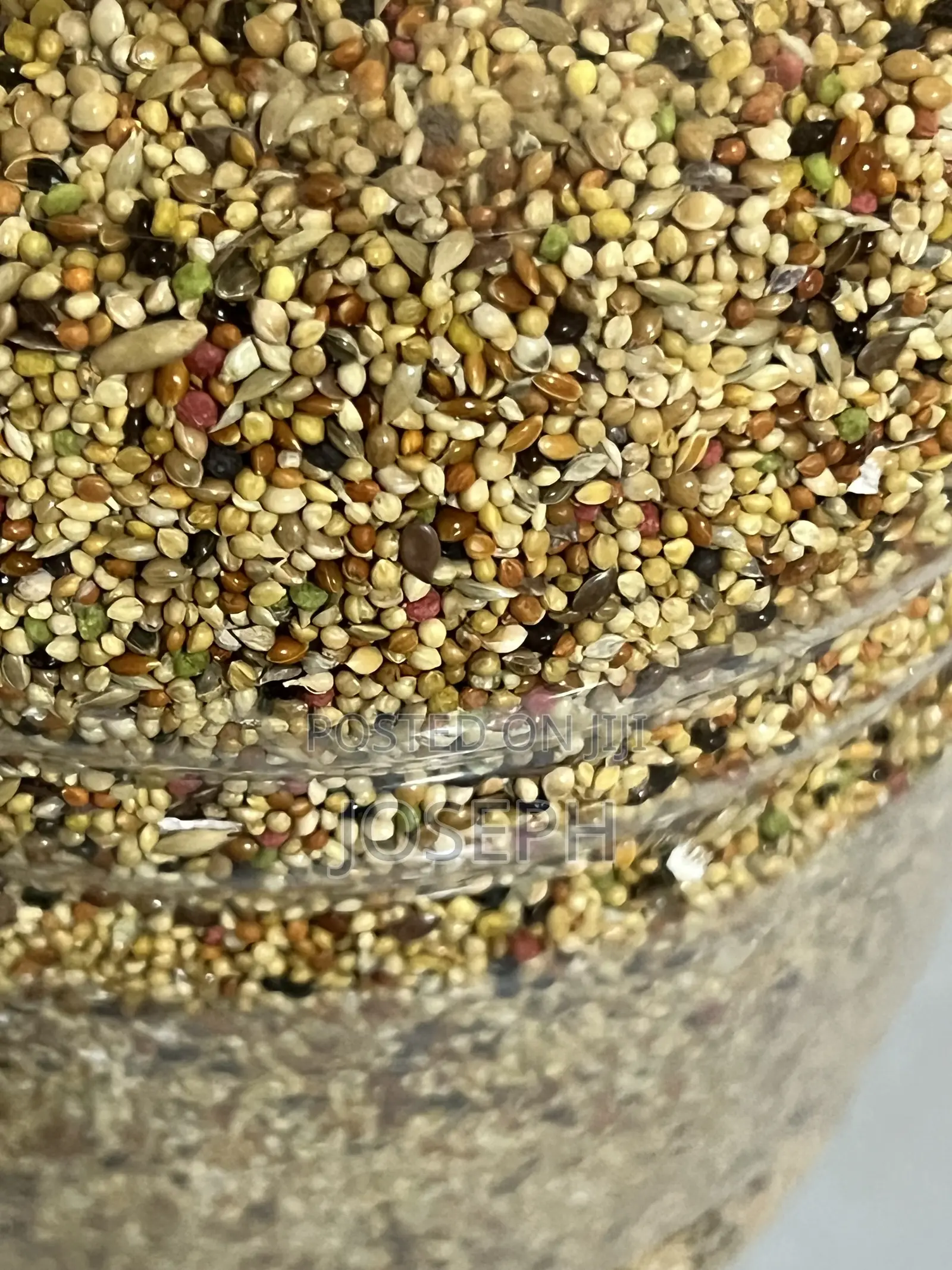 Bird Feed.