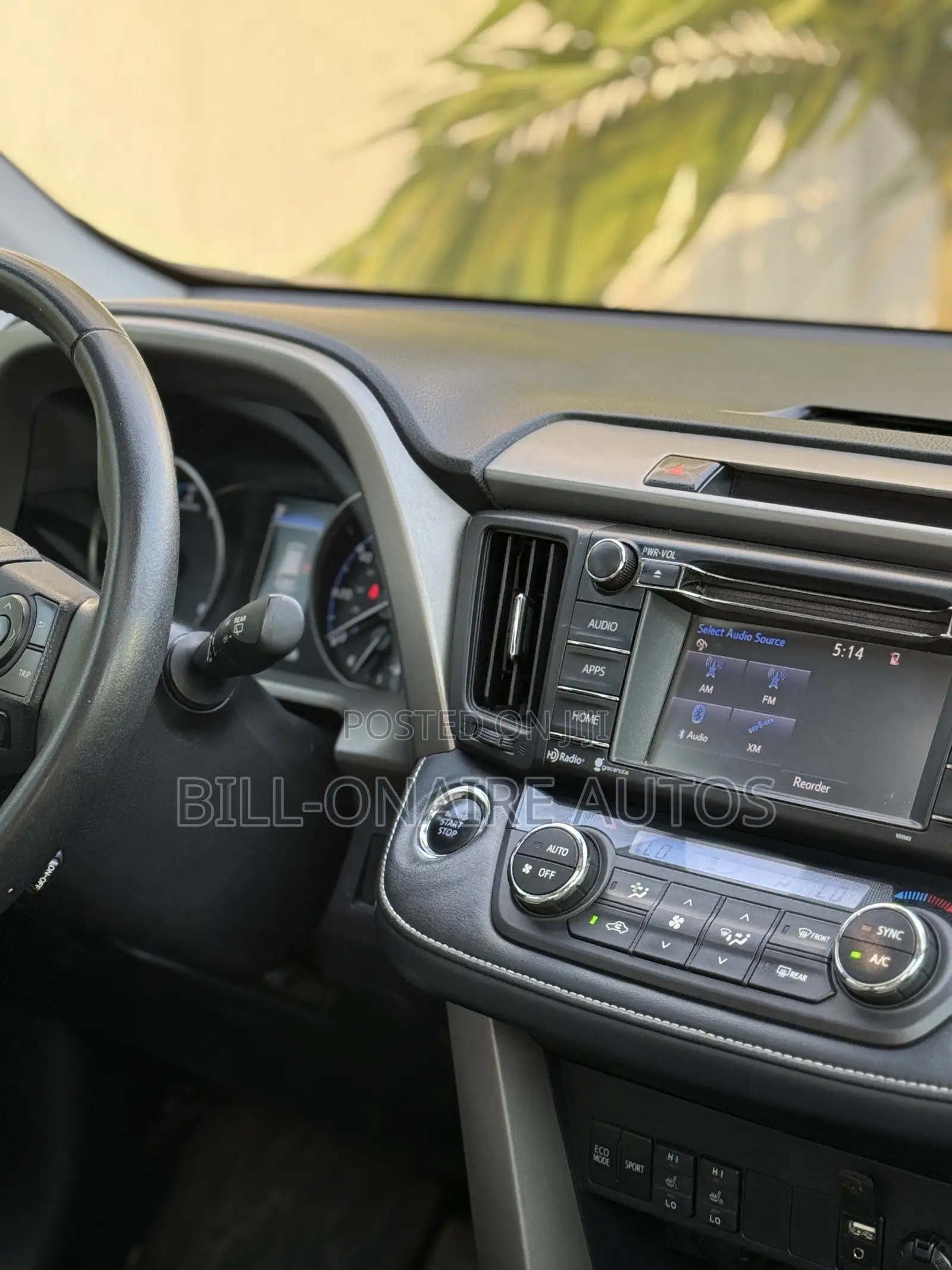 Toyota RAV4 XLE 4dr SUV (2.5L 4cyl 6A) 2018 Green
