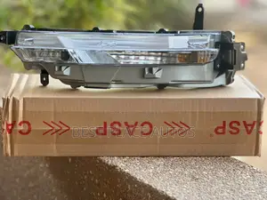 Toyota Fortuner 2020 Bumper Light