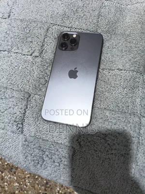 Apple iPhone 12 Pro Max 256 GB Gray