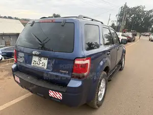 Ford Escape 2010 Blue