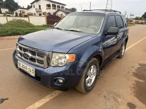 Ford Escape 2010 Blue