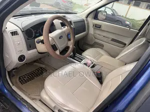 Ford Escape 2010 Blue