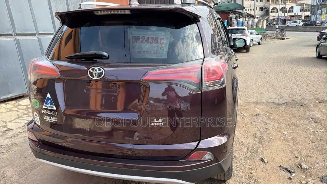 Toyota RAV4 LE 4dr SUV AWD (2.5L 4cyl 6A) 2018 Beige