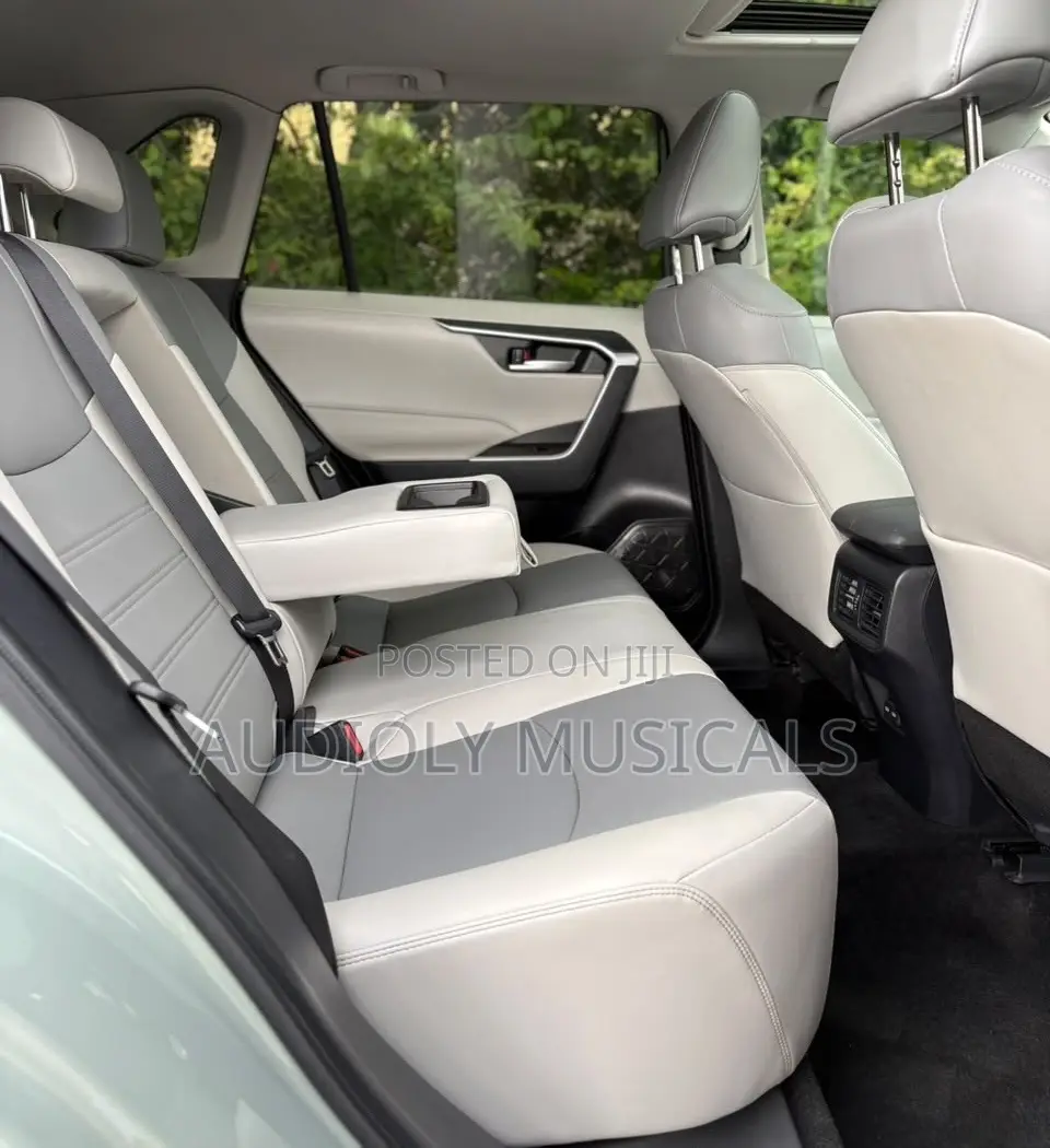 Toyota RAV4 XLE Premium AWD 2023 Green