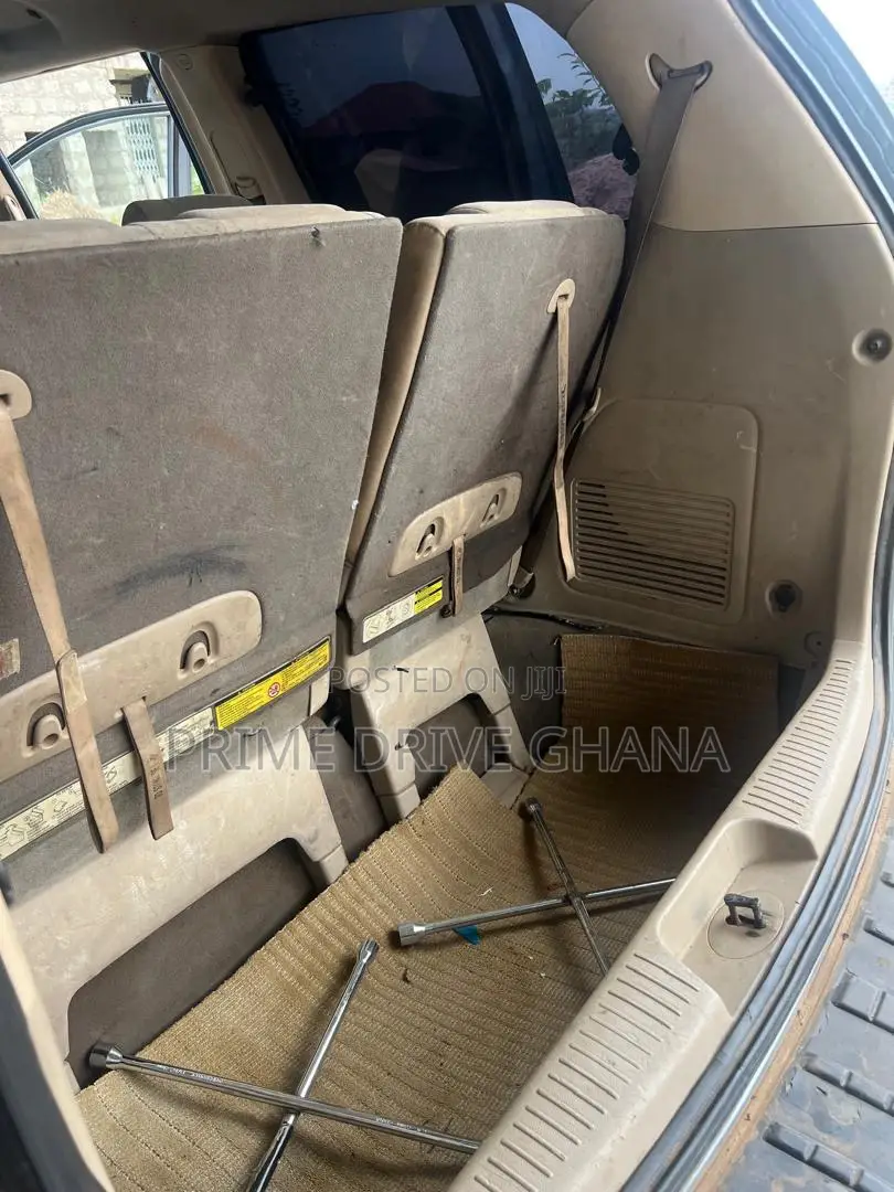 Hyundai Entourage 2008 Gray